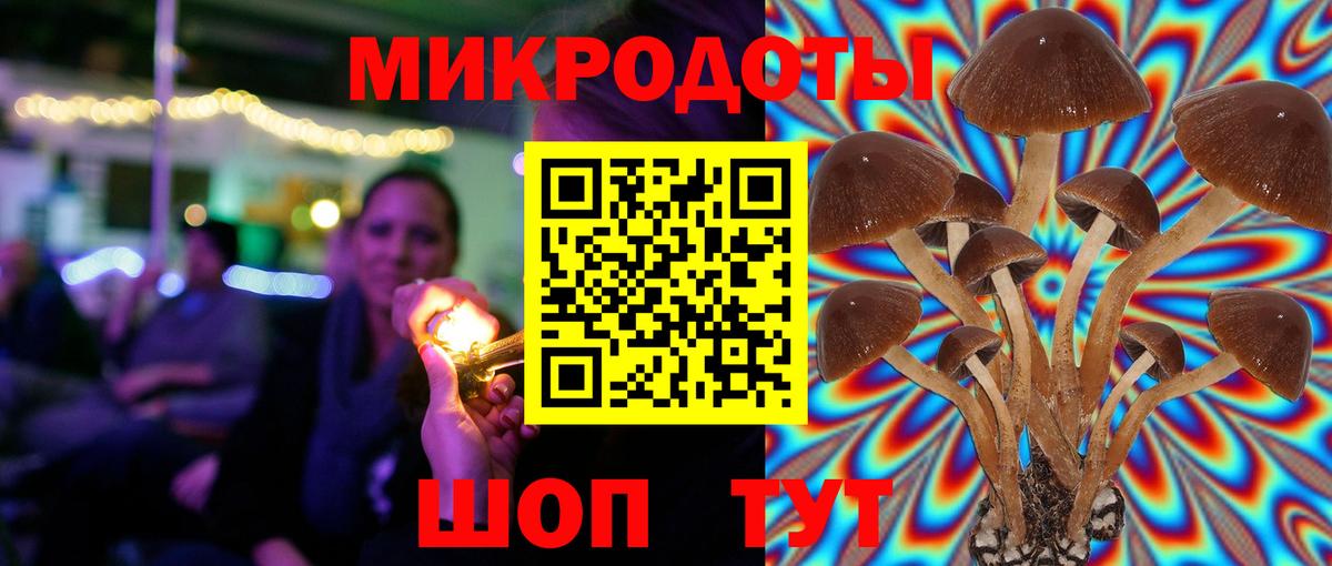Псилоцибиновые грибы Magic Shrooms Волхов