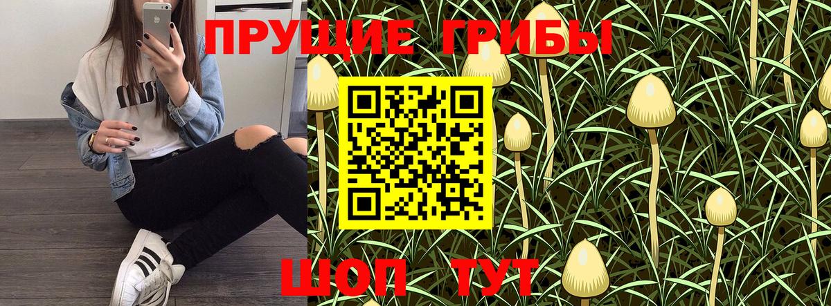 Псилоцибиновые грибы Cubensis  Галлюциногенные грибы Magic Shrooms  Волхов  Вход с VPN 