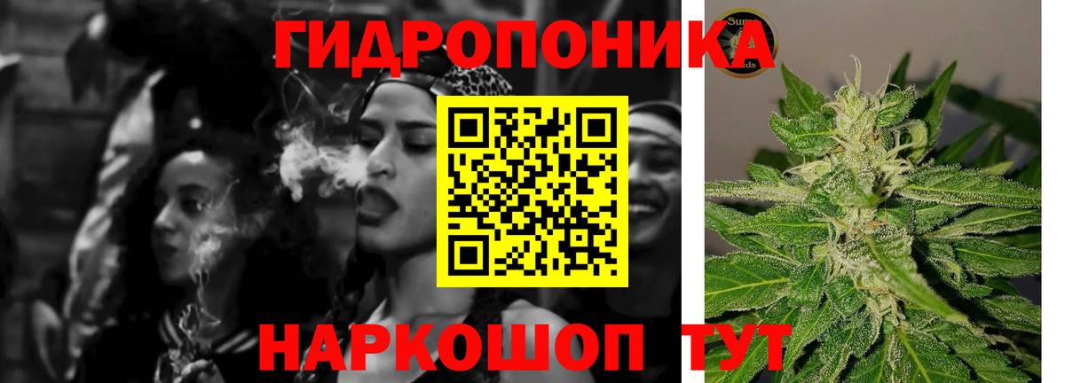МАРИХУАНА MAZAR  Вход с VPN  Бошки марихуана тримм  Волхов  Каннабис VHQ 